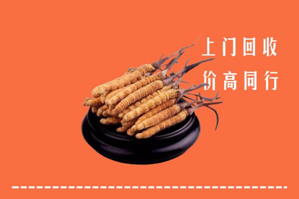高价求购：包头市回收散虫草