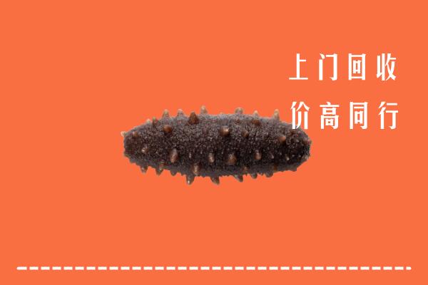 包头市回收海参