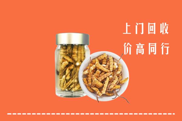 包头市回收冬虫夏草